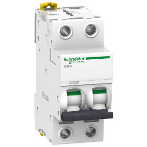 Interruptor automático magnetotérmico iC60H - 2P - 10A - curva D ref. A9F85210 Schneider Electric [PLAZO 3-6 SEMANAS]