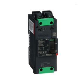 Interruptor automático PowerPact BD 18kA TM100D 2P Elink ref. BDL26100LU Schneider Electric [PLAZO 3-6 SEMANAS]