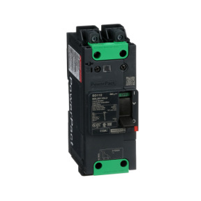 Interruptor automático PowerPact BD 18kA TM110D 2P Elink ref. BDL26110LU Schneider Electric [PLAZO 3-6 SEMANAS]