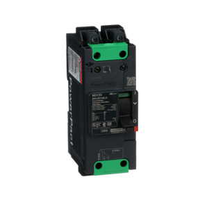 Interruptor automático PowerPact BD 18kA TM125D 2P Elink ref. BDL26125LU Schneider Electric [PLAZO 3-6 SEMANAS]