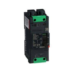 Interruptor automático PowerPact BD 18kA TM15D 2P Elink ref. BDL26015LU Schneider Electric [PLAZO 3-6 SEMANAS]