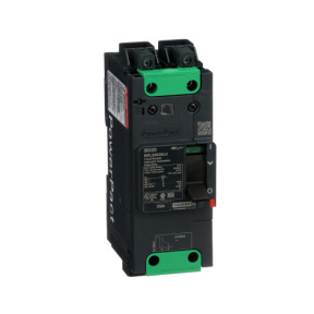 Interruptor automático PowerPact BD 18kA TM20D 2P Elink ref. BDL26020LU Schneider Electric [PLAZO 3-6 SEMANAS]