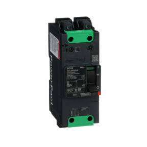 Interruptor automático PowerPact BD 18kA TM25D 2P Elink ref. BDL26025LU Schneider Electric [PLAZO 3-6 SEMANAS]