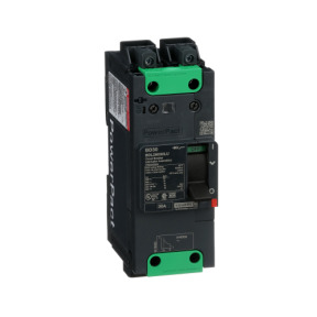 Interruptor automático PowerPact BD 18kA TM30D 2P Elink ref. BDL26030LU Schneider Electric [PLAZO 3-6 SEMANAS]