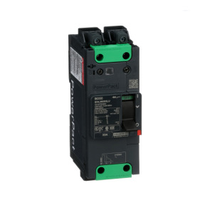 Interruptor automático PowerPact BD 18kA TM50D 2P Elink ref. BDL26050LU Schneider Electric [PLAZO 3-6 SEMANAS]