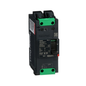 Interruptor automático PowerPact BD 18kA TM60D 2P Elink ref. BDL26060LU Schneider Electric [PLAZO 3-6 SEMANAS]