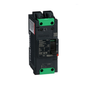 Interruptor automático PowerPact BD 18kA TM70D 2P Elink ref. BDL26070LU Schneider Electric [PLAZO 3-6 SEMANAS]