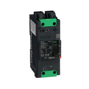 Interruptor automático PowerPact BG 35kA TM40D 2P Elink ref. BGL26040LU Schneider Electric [PLAZO 3-6 SEMANAS]