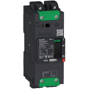 Interruptor automático PowerPact BJ 65kA TM110D 2P Elink ref. BJL26110LU Schneider Electric [PLAZO 3-6 SEMANAS]